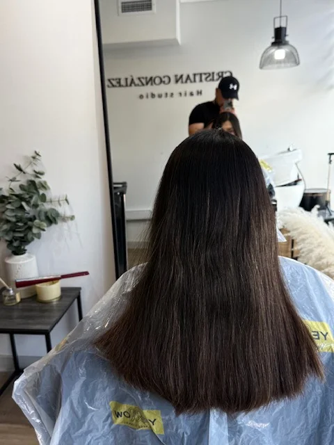Gonzalez Hair Studio Antes